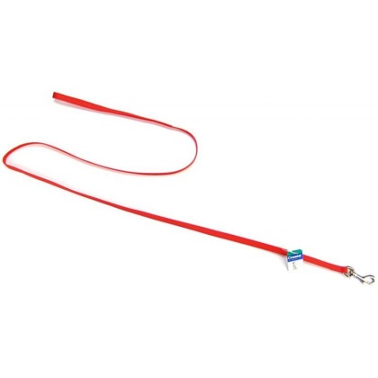 Coastal Pet Nylon Lead - Red