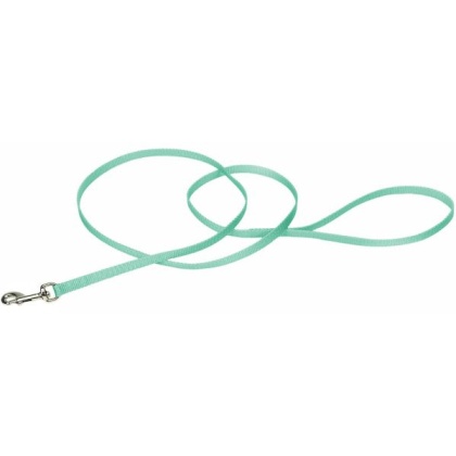 Coastal Pet Single-ply Nylon Dog Leash Teal