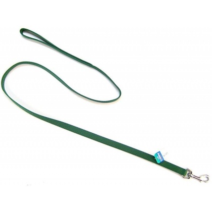 Coastal Pet Nylon Lead - Hunter Green