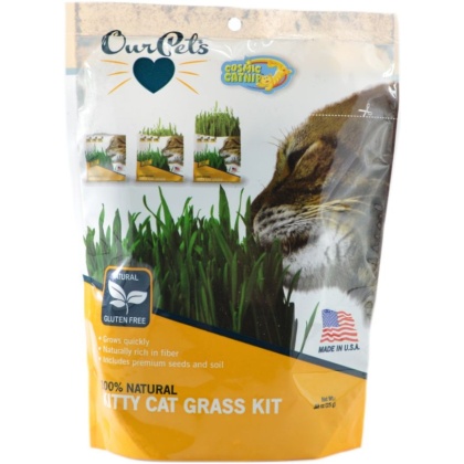 OurPets Cosmic Catnip 100% Natural Kitty Cat Grass Kit