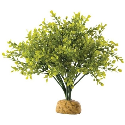 Exo Terra Boxwood Bush Terrarium Plant