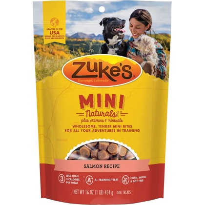 Zukes Mini Naturals Dog Treat - Savory Salmon Recipe