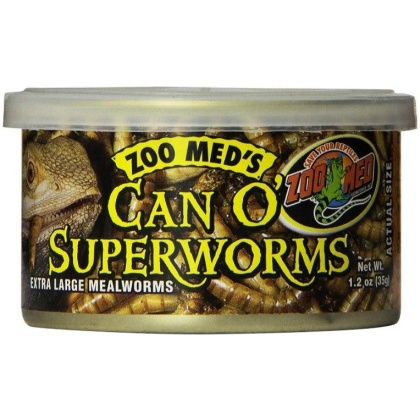 Zoo Med Can O Superworms Extra Large Mealworms